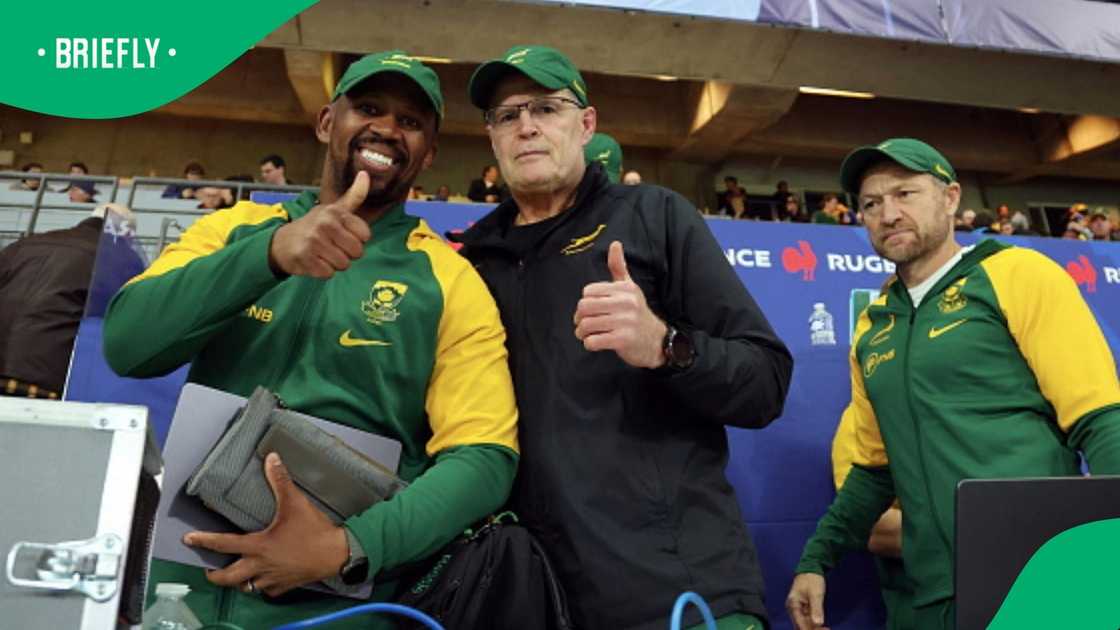 Springboks, Tony Brown, South Africa Springboks, Tony Brown, South Africa