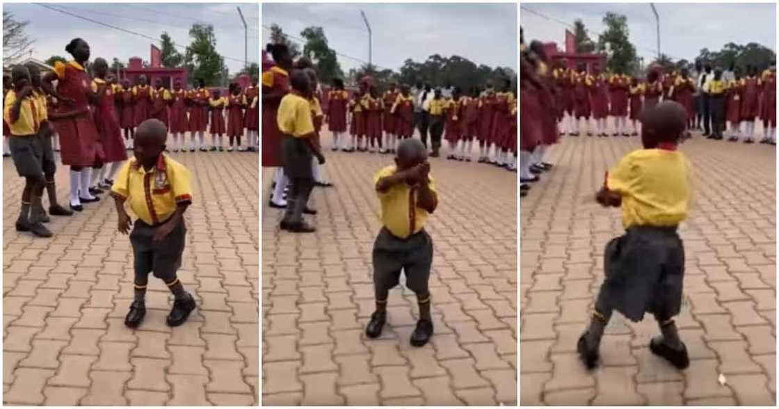 Video, little boy dancing, winding waist, viral, school Video, little boy dancing, winding waist, viral, school