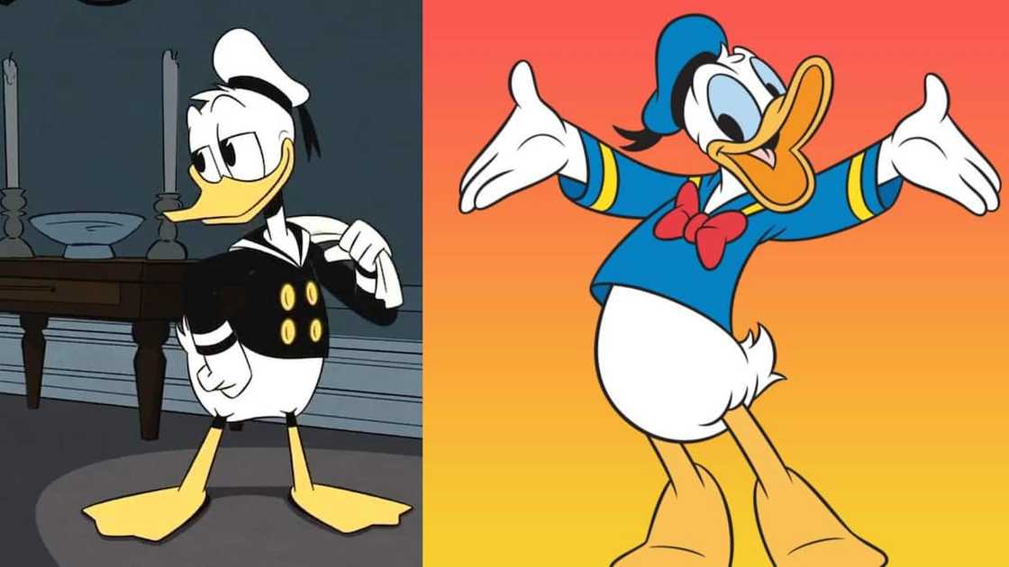 Donald Duck from the Disney universe Donald Duck from the Disney universe