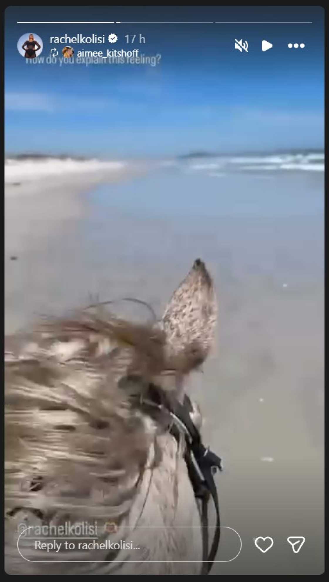 Rachel Kolisi reconnects with former Springbok WAG