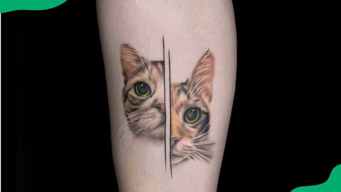 Side Profile Side Profile