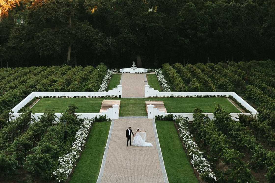 15 breathtaking forest wedding venues Cape Town