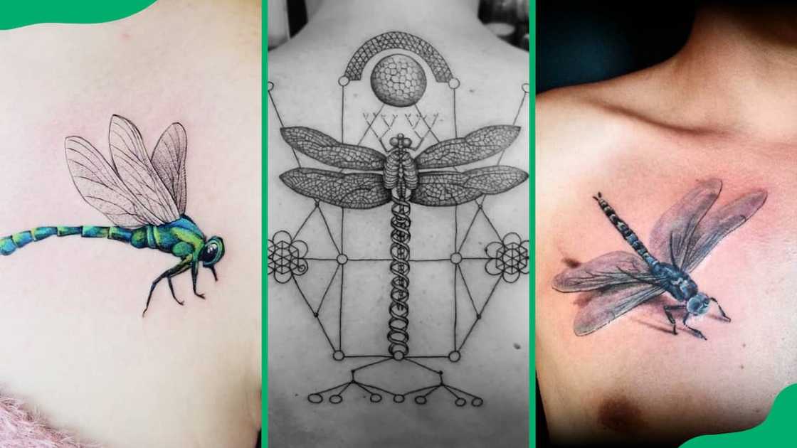Green dragonfly (L), geometric precision flier dragon tattoo (C), 3D dragonfly tattoo (R) Green dragonfly (L), geometric precision flier dragon tattoo (C), 3D dragonfly tattoo (R)