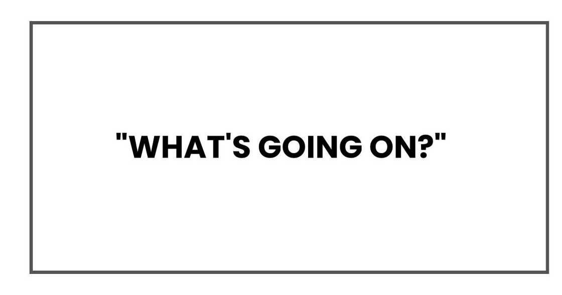 WHAT'S GOING ON WHAT'S GOING ON