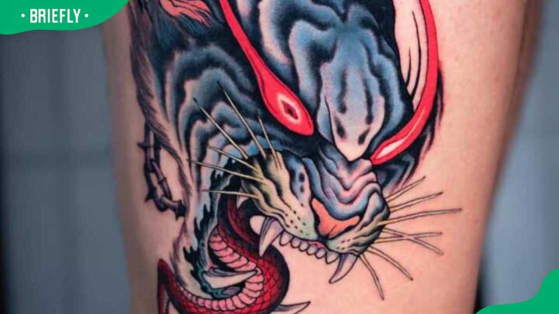 Japanese tiger and dragon tattoo Japanese tiger and dragon tattoo
