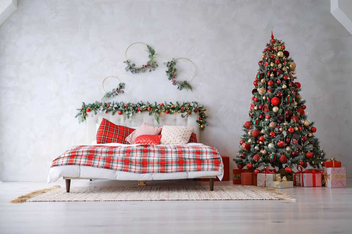 Christmas décor in South Africa Christmas décor in South Africa