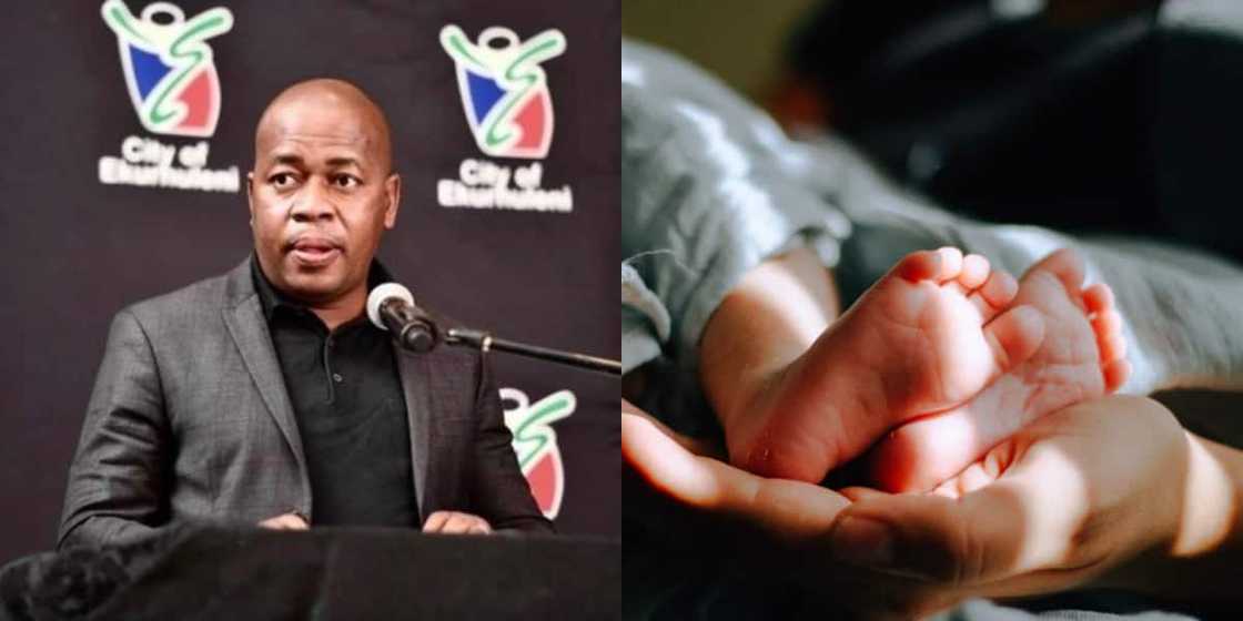 "We Found the Family": Govt Official Confirms the Miracle Birth of 10 Babies "We Found the Family": Govt Official Confirms the Miracle Birth of 10 Babies