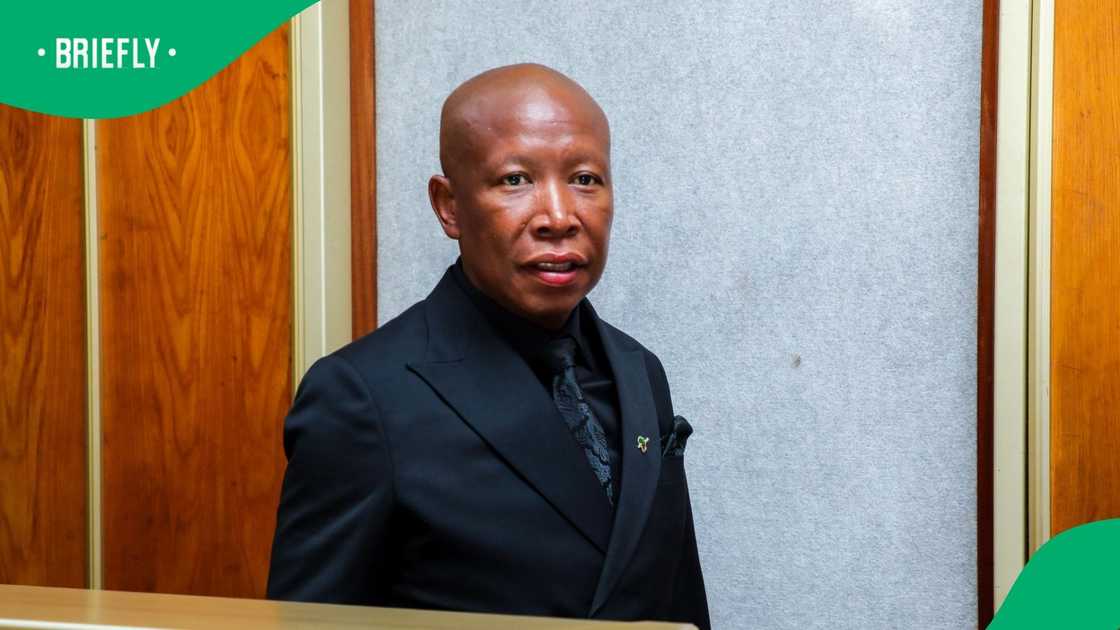EFF President Julius Malema's legal team argued that Malema should not be given a tough sentence