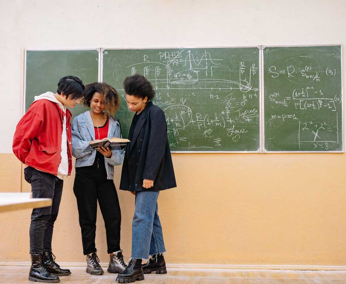 Students reading a book