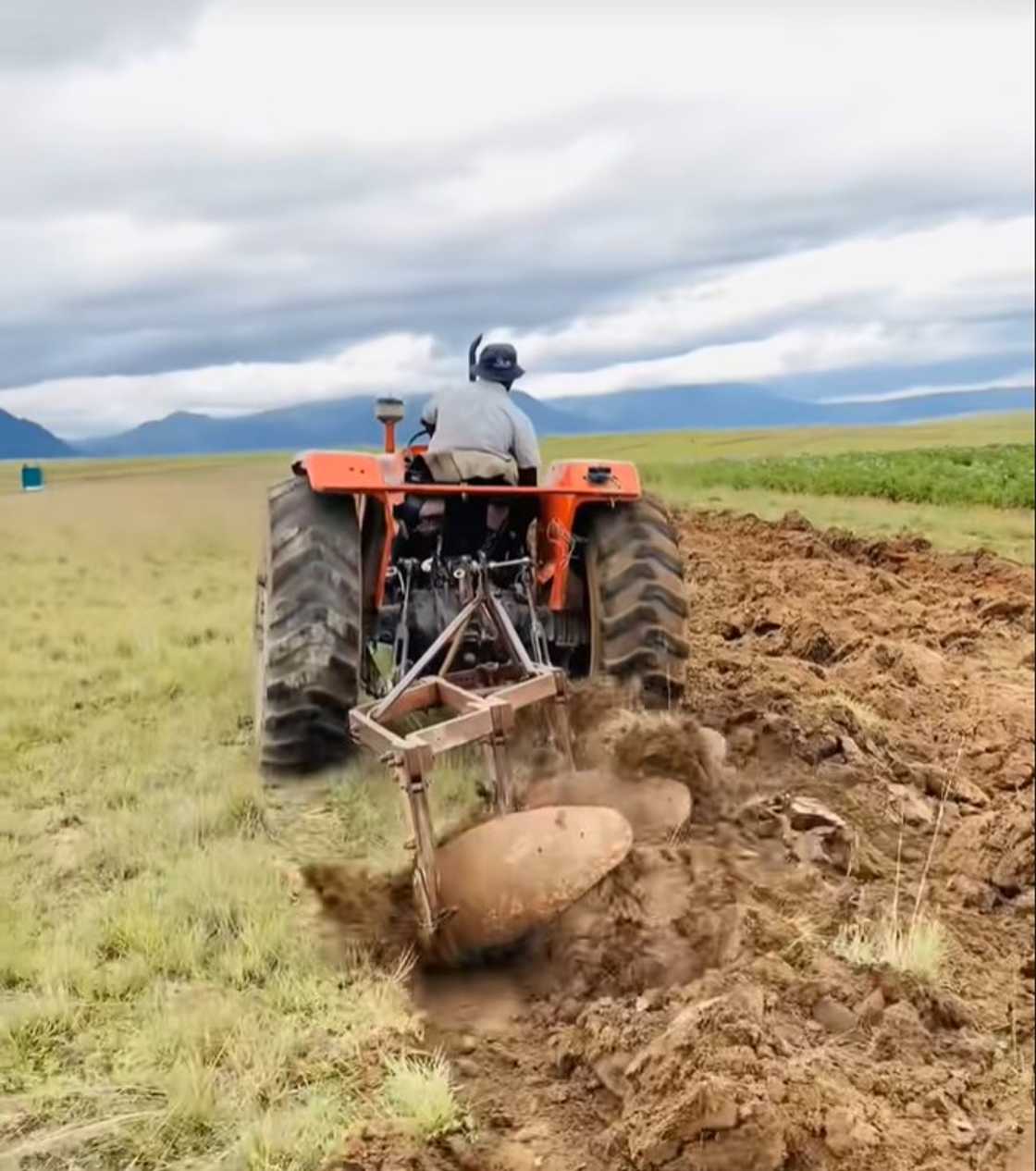 Woman is a farmer in South Africa