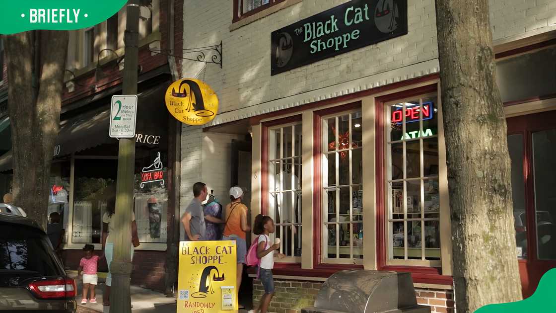 Black Cat Shoppe, NC Black Cat Shoppe, NC