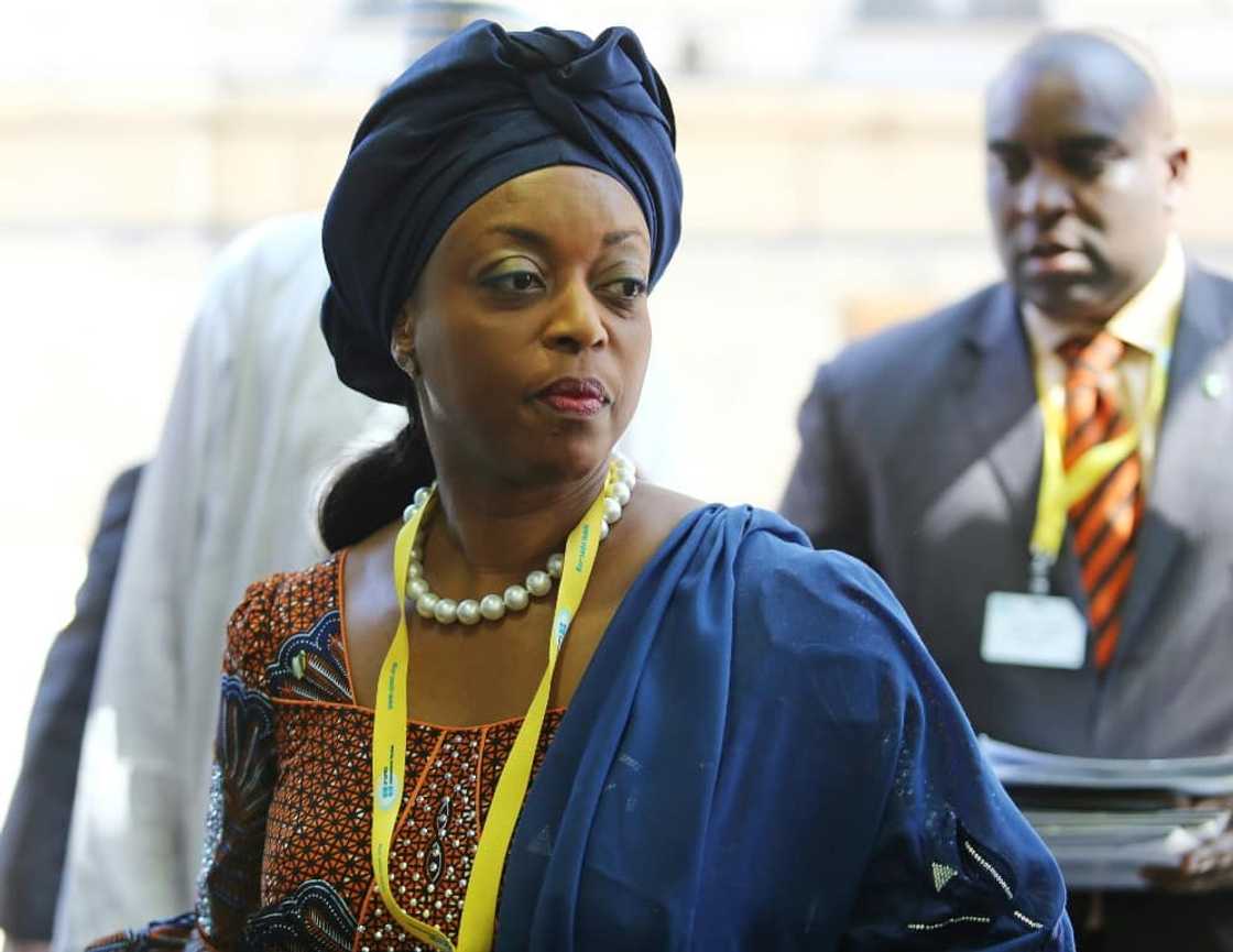 Diezani-Madueke was OPEC president from 2014 to 2015