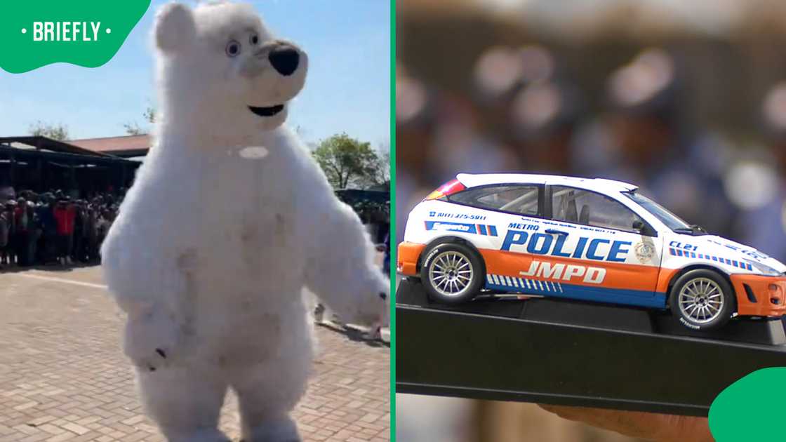 Joburg bear mascot entertains JMPD at busy intersection Joburg bear mascot entertains JMPD at busy intersection