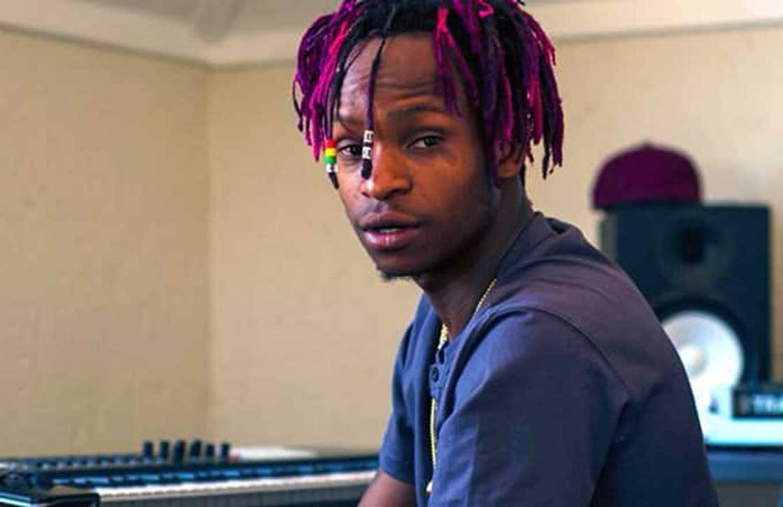Gemini Major Gemini Major