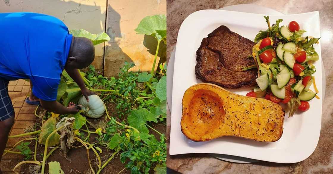 Chow what you grow: SA man impresses with food cooked from garden Chow what you grow: SA man impresses with food cooked from garden