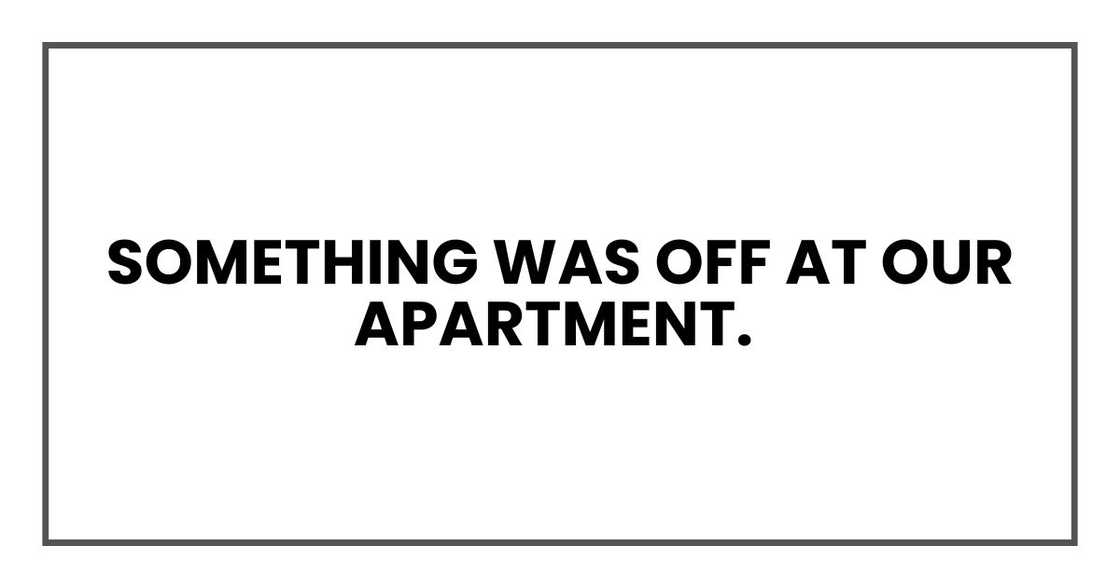 Something was off at our apartment.