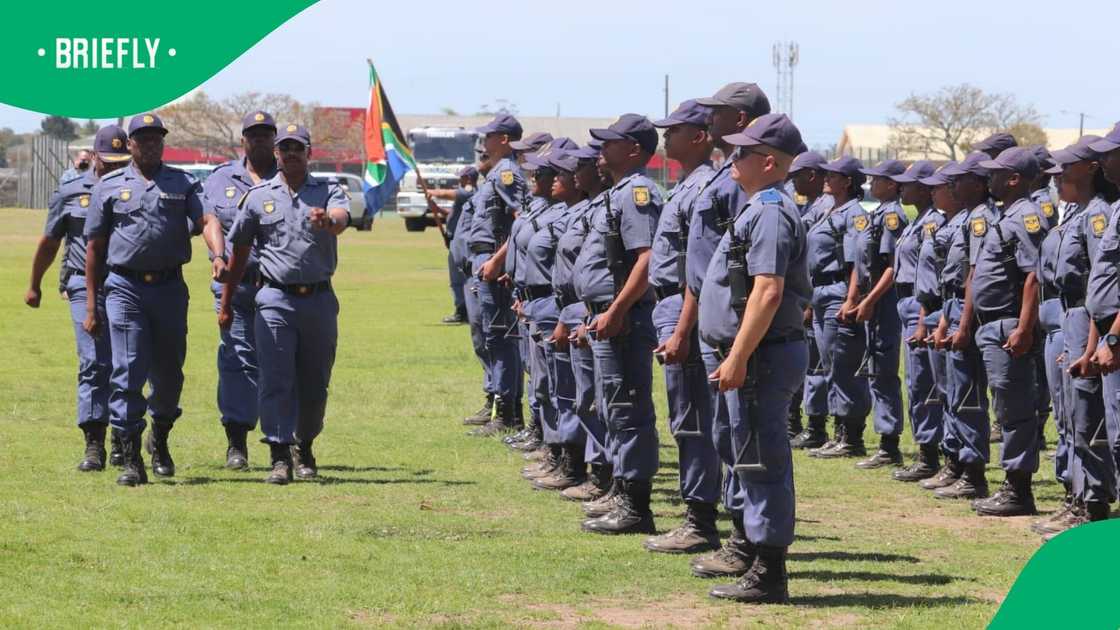 The pig farm murder witness accused the police of assaulting him The pig farm murder witness accused the police of assaulting him