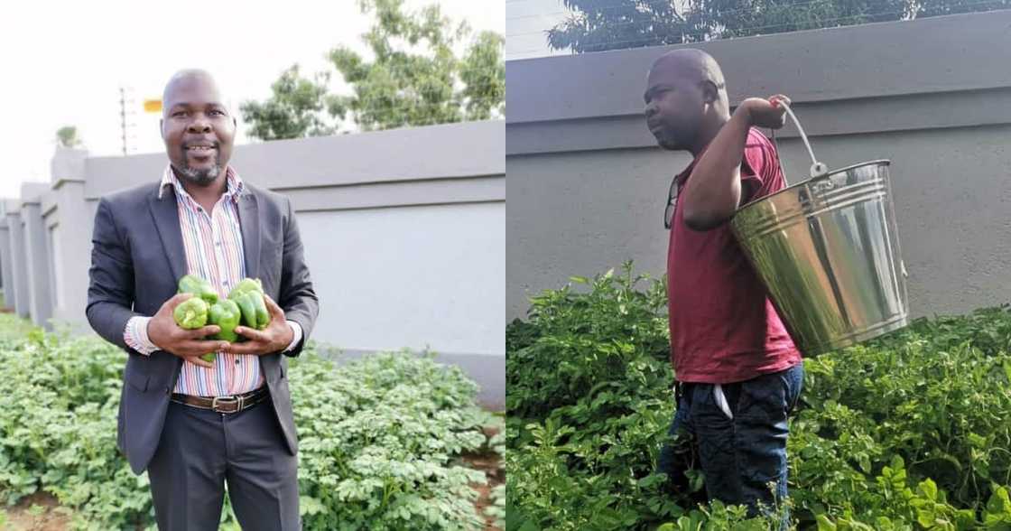 Djo BaNkuna, garden, farming, inspirational Djo BaNkuna, garden, farming, inspirational