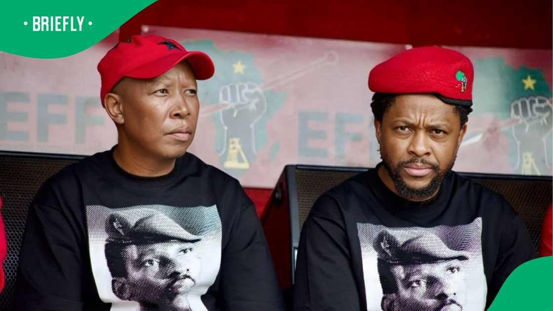 Resurfaced clip shows EFF leader Julius Malema shoving Mbuyiseni Ndlozi at rally