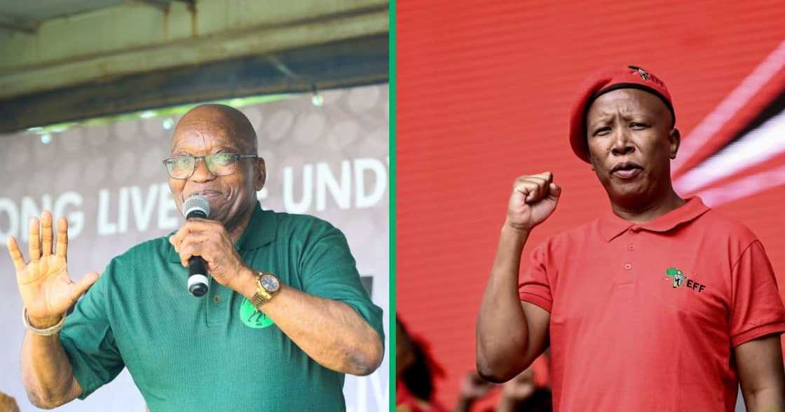 Julius Malema received a birthday wish from Jacob Zuma