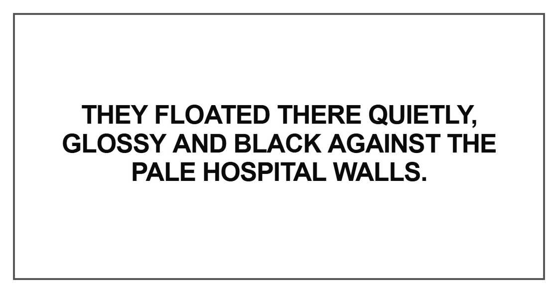They floated there quietly, glossy and black They floated there quietly, glossy and black