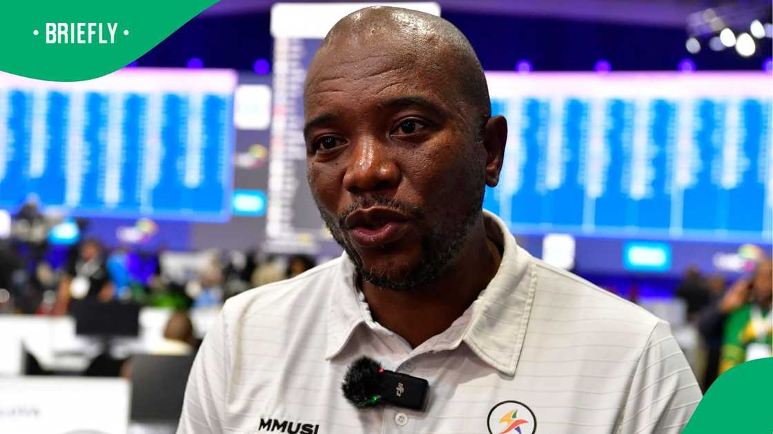 BOSA leader Mmusi Maimane. BOSA leader Mmusi Maimane.