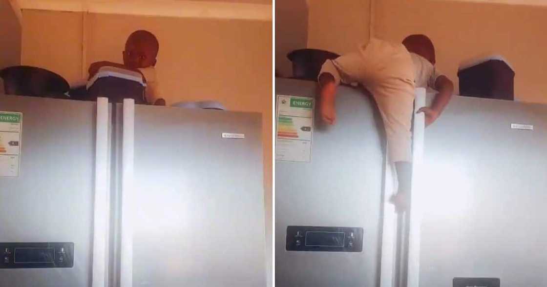 Toddler playing on top of fridge goes viral. South Africans were impressed with their climbing skills. Toddler playing on top of fridge goes viral. South Africans were impressed with their climbing skills.