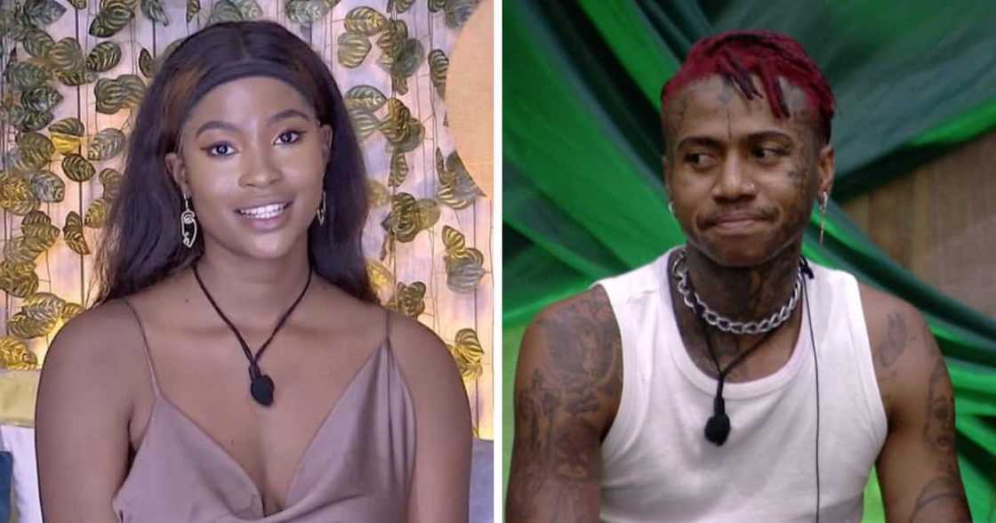 ‘Big Brother Mzansi’, Themba, Nale, Housemates, Beef, Twitter, Viewers, Makeup, Reactions, Fight, Bond, Friendship ‘Big Brother Mzansi’, Themba, Nale, Housemates, Beef, Twitter, Viewers, Makeup, Reactions, Fight, Bond, Friendship
