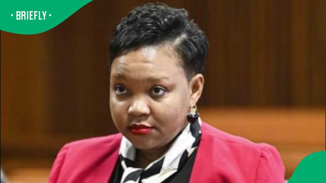 The National Prosecuting Authority (NPA) approached the ConCourt following the High Court ruling in June 2025.