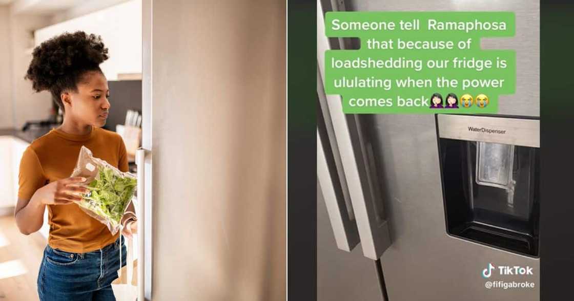 Fridge rings after Eskom's loadshedding ends Fridge rings after Eskom's loadshedding ends