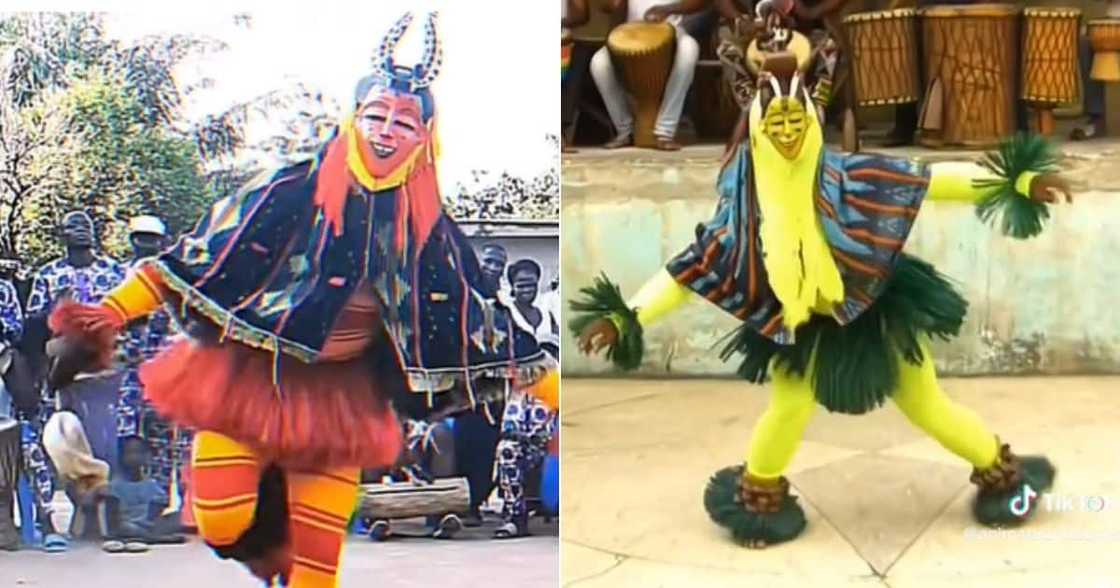 Zaouli dance from Cote d'Ivoire