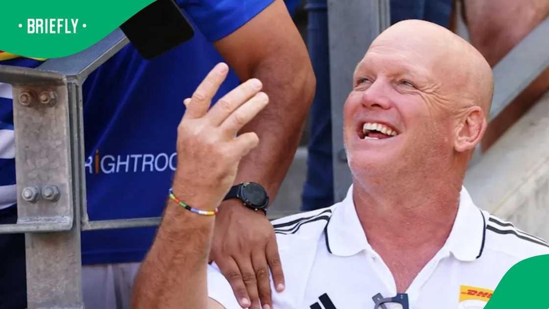 Stormers, United Rugby Championship, South Africa, John Dobson Stormers, United Rugby Championship, South Africa, John Dobson