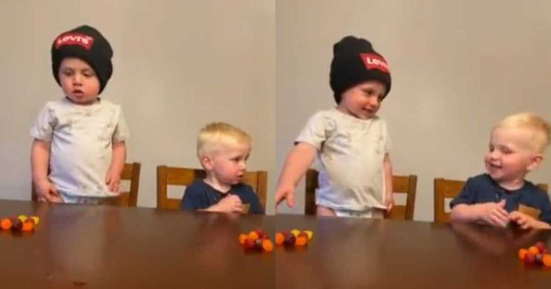 Adorable, babies, can't resist, temptation for sweets, internet loves them