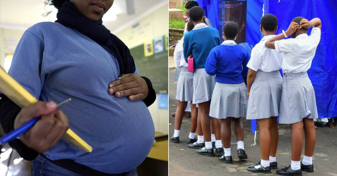 Gauteng, Department of health, Democratic Alliance, DA, Teenage pregnancy, Girls, Gauteng Legislature