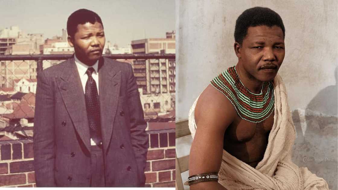 information about nelson mandela information about nelson mandela