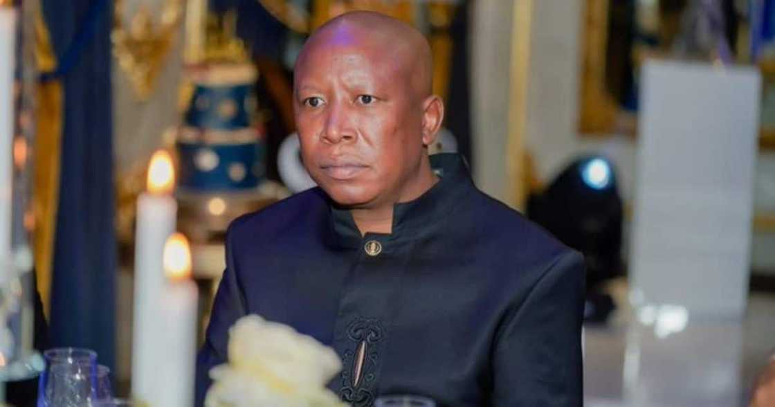 Mzansi, Disappointed, EFF, Julius Malema, SANDF Mzansi, Disappointed, EFF, Julius Malema, SANDF