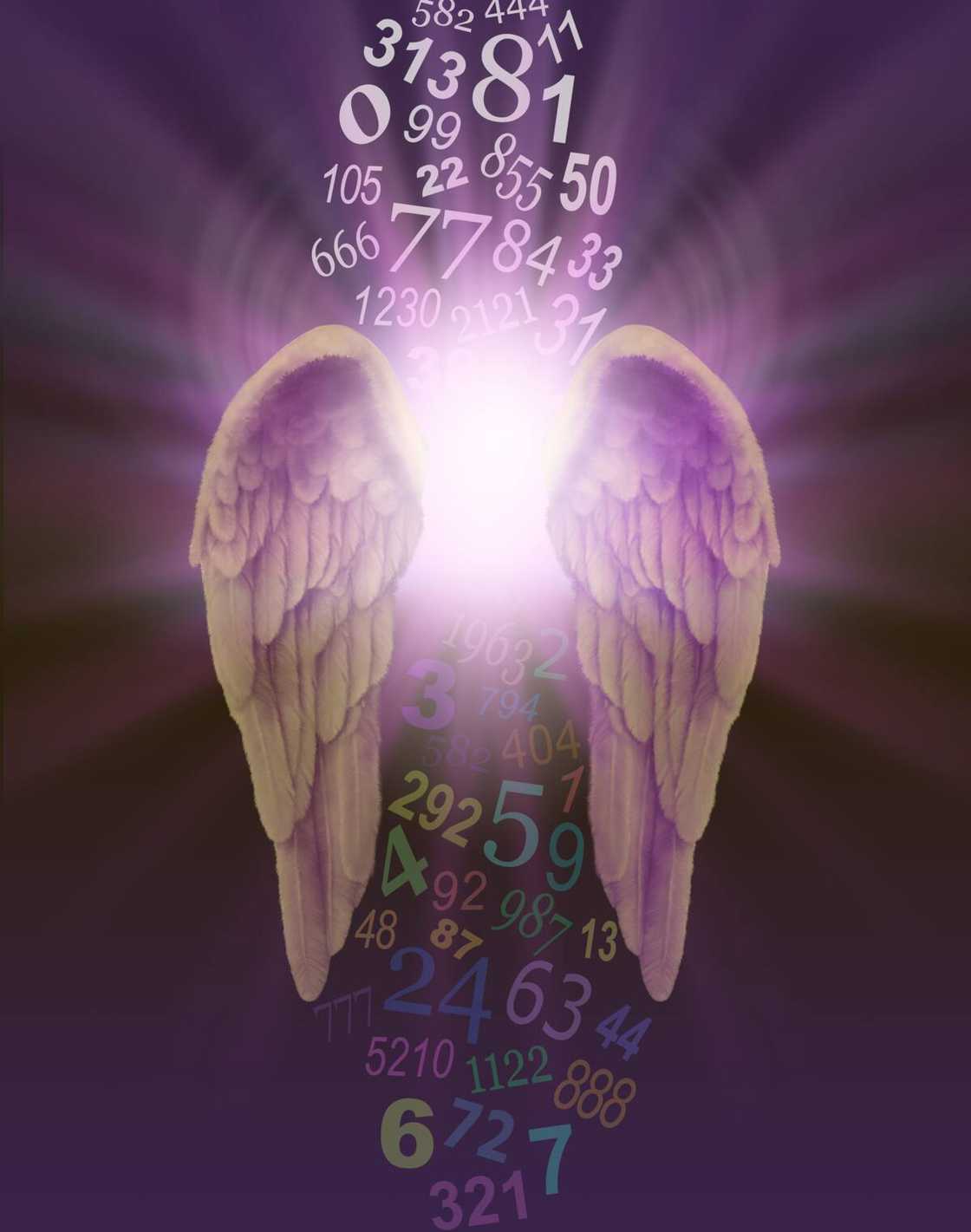 Angel numbers Angel numbers