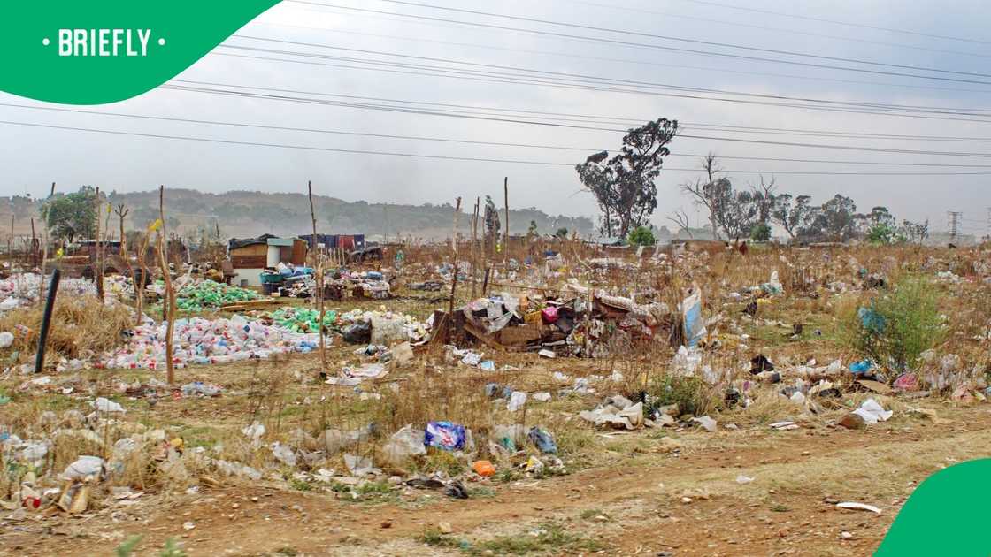 Cape town fined illegal dumpers R4 million in the 2023/2024 financial year Cape town fined illegal dumpers R4 million in the 2023/2024 financial year
