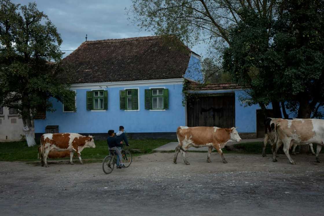 Charles III's foundation owns a property in the village Charles III's foundation owns a property in the village
