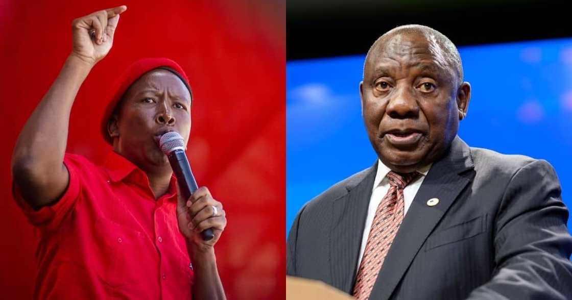 EFF's Julius Malema, President Cyril Ramaphosa, Marikana Massacre, NPA, SAPS, mineworkers, wages, killed EFF's Julius Malema, President Cyril Ramaphosa, Marikana Massacre, NPA, SAPS, mineworkers, wages, killed