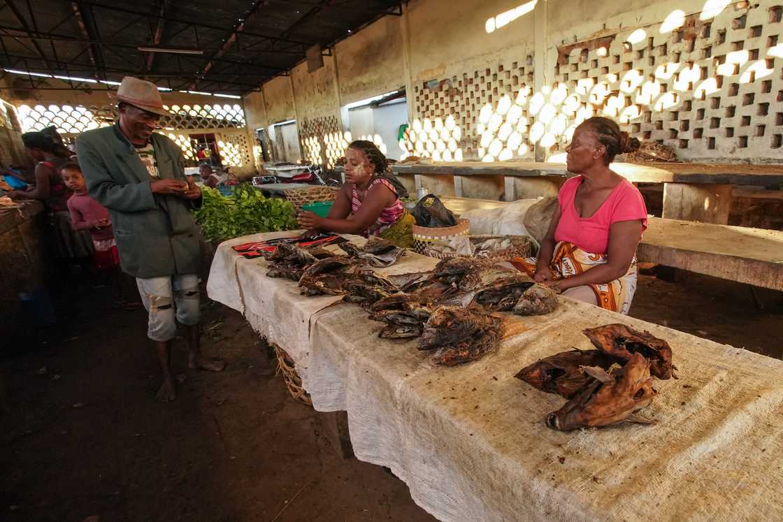 Inside a fish market