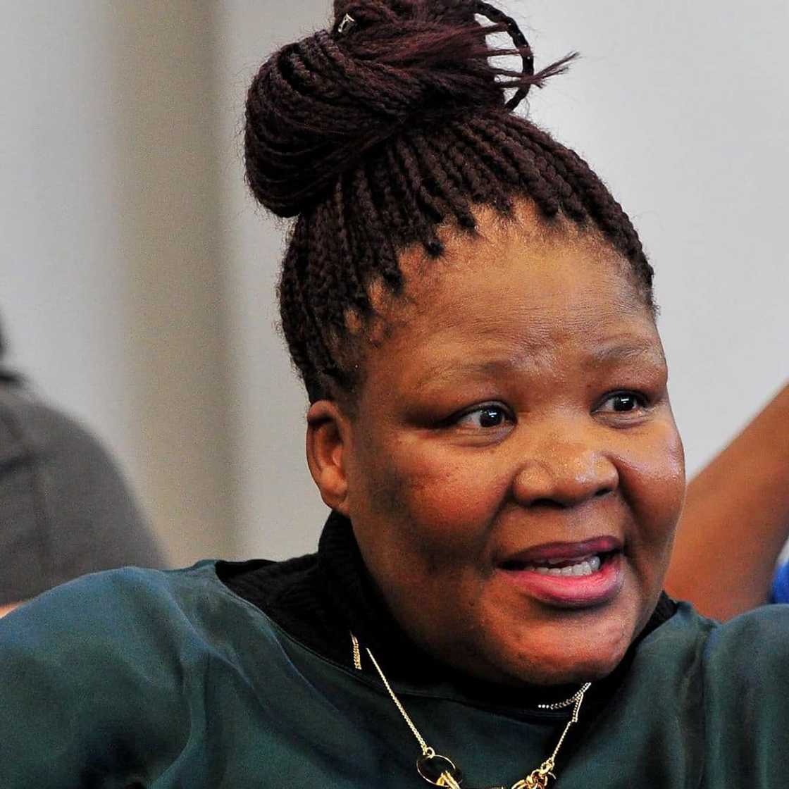 Vytjie Mentor Vytjie Mentor