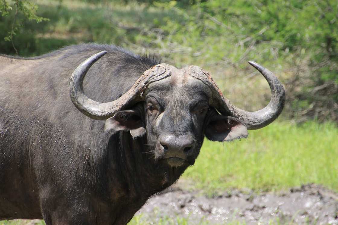 Kruger national park accommodation Kruger national park accommodation