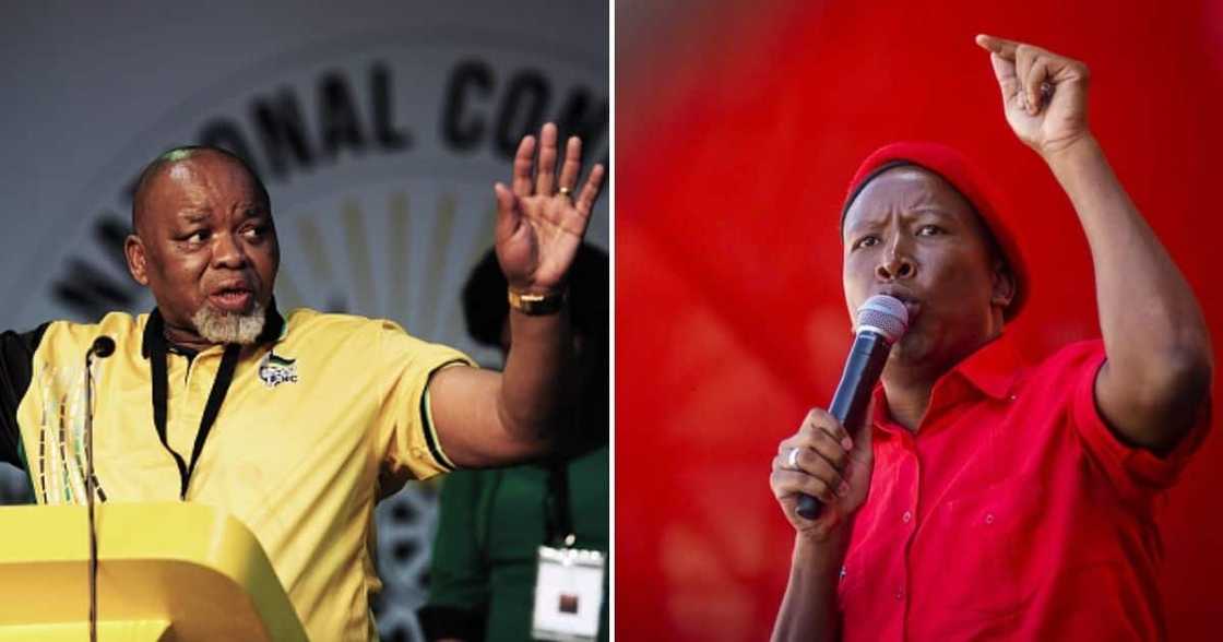 The EFF prosecuting Gwede Mantashe over state capture-related corruption The EFF prosecuting Gwede Mantashe over state capture-related corruption