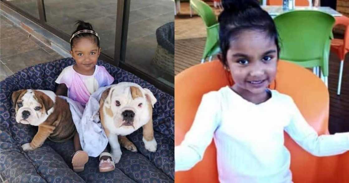 Three-year-old, little girl, congenital heart condition, crowdfunding, raise money Three-year-old, little girl, congenital heart condition, crowdfunding, raise money