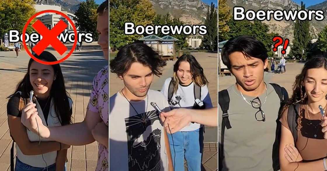 Tiktok creator Tiktok creator