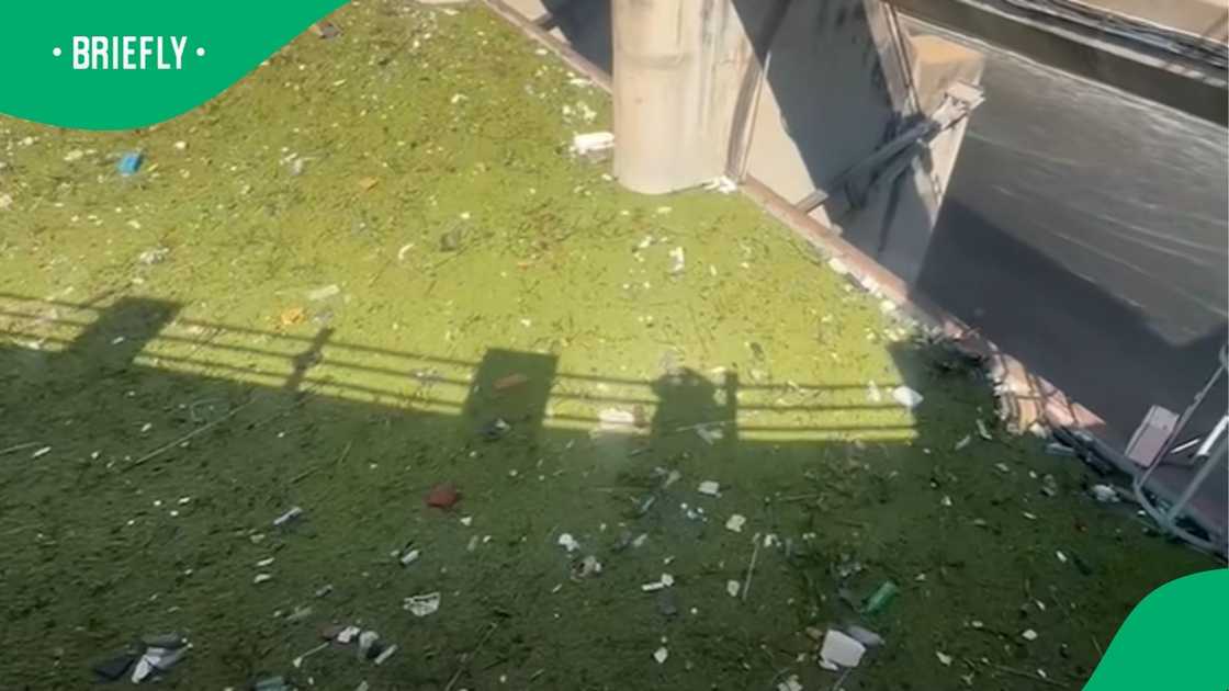 The image documented the alarming extent of pollution choking the waterway, with shadows of a railing cast over the debris-strewn surface The image documented the alarming extent of pollution choking the waterway, with shadows of a railing cast over the debris-strewn surface