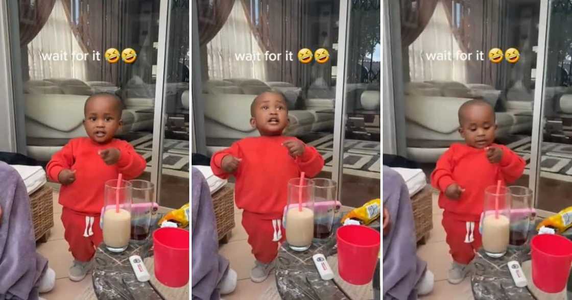 An adorable toddler won over the internet with his cute dance moves An adorable toddler won over the internet with his cute dance moves