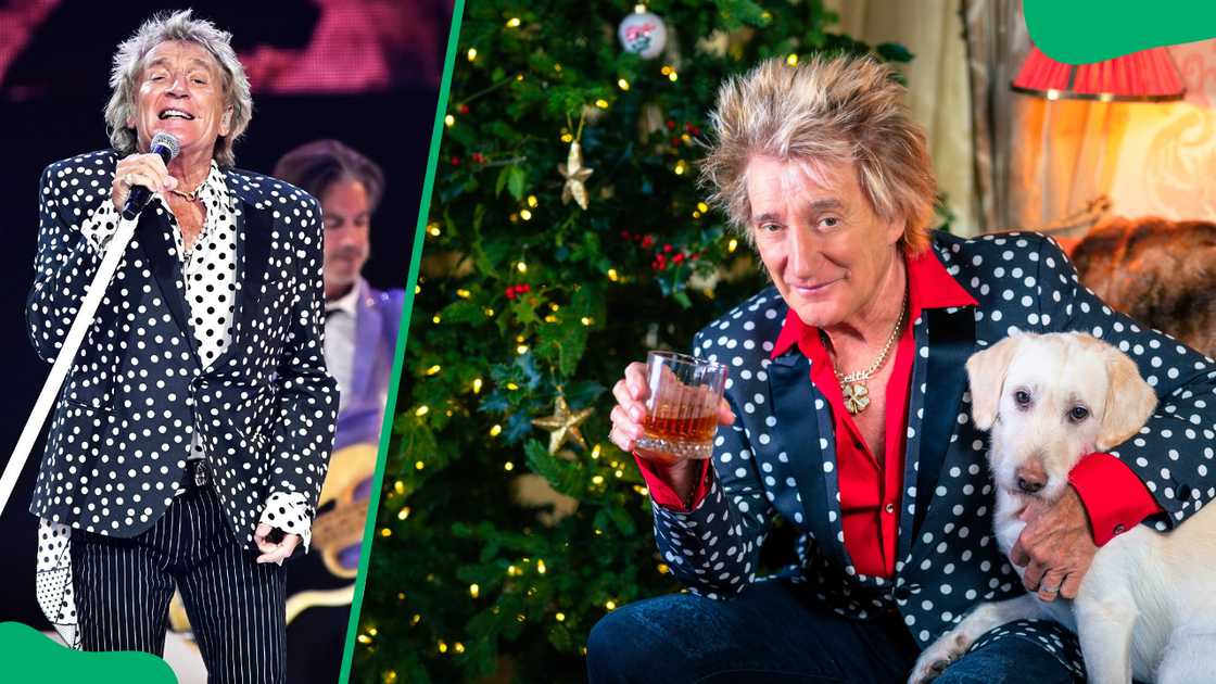 Rod Stewart is alive