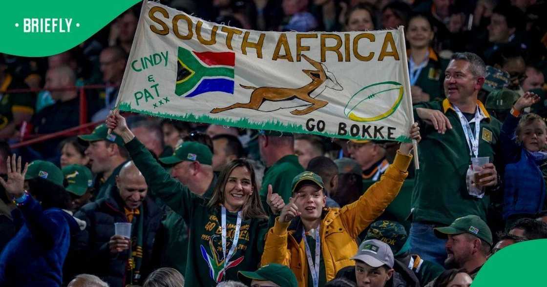 Fans sang a new song for Rassie Erasmus Fans sang a new song for Rassie Erasmus